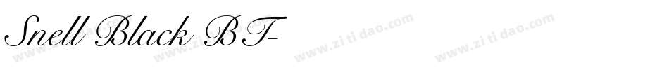 Snell Black BT字体转换